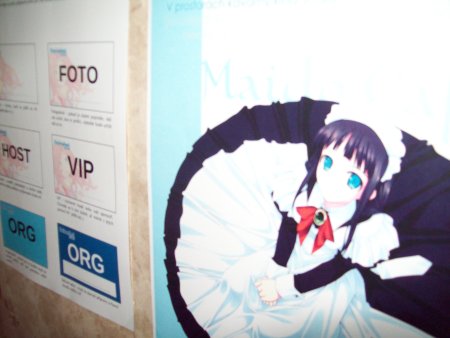 017-100_5100.JPG.medium.jpeg