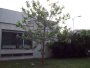 032-100_5117.JPG.small.jpeg