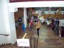 056-100_5154.JPG.small.jpeg