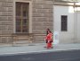 085-100_5187.JPG.small.jpeg