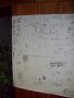 113-100_5222.JPG.small.jpeg