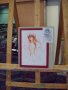 015-101_6284.JPG.small.jpeg