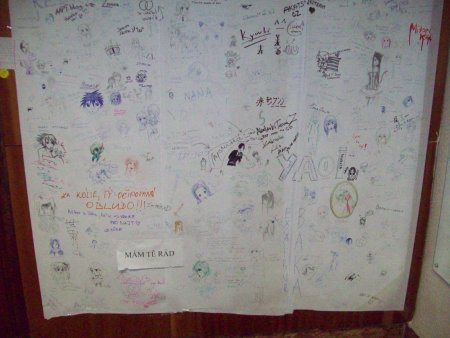 082-101_6395.JPG.medium.jpeg
