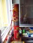 113-101_6456.JPG.small.jpeg